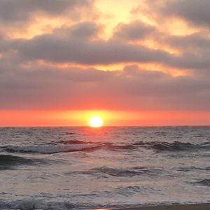 Meet your Posher, Hope